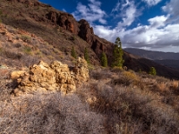 Los Azulejos De Veneguera